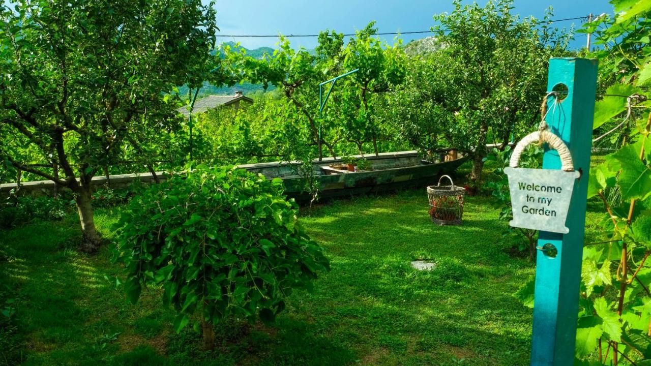 Country House Djurisic 威尔帕扎 外观 照片