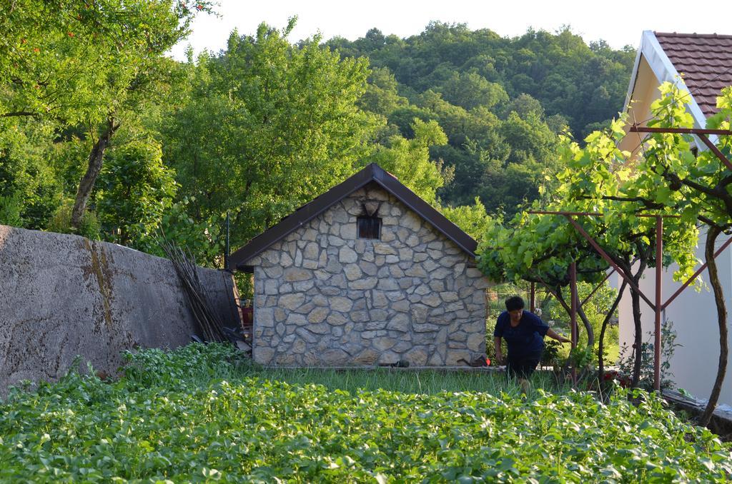 Country House Djurisic 威尔帕扎 外观 照片